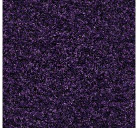 Coral Brush Royal Purple